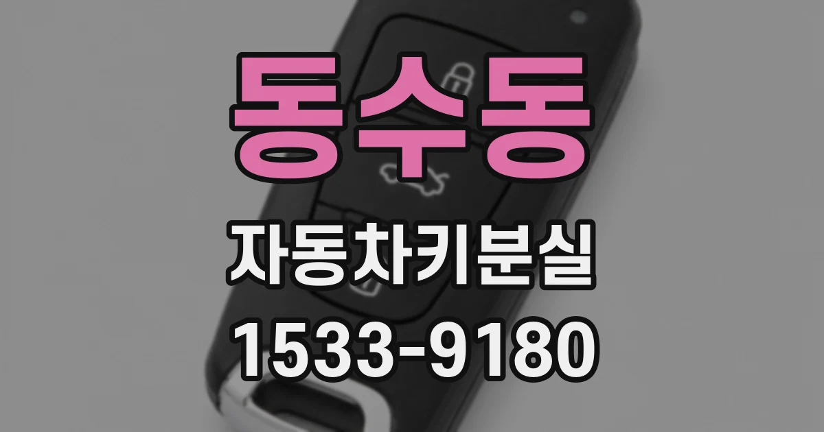 동수동 자동차키분실