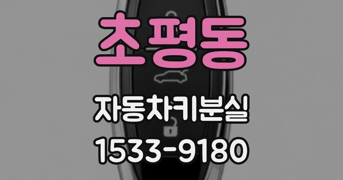 초평동 자동차키분실