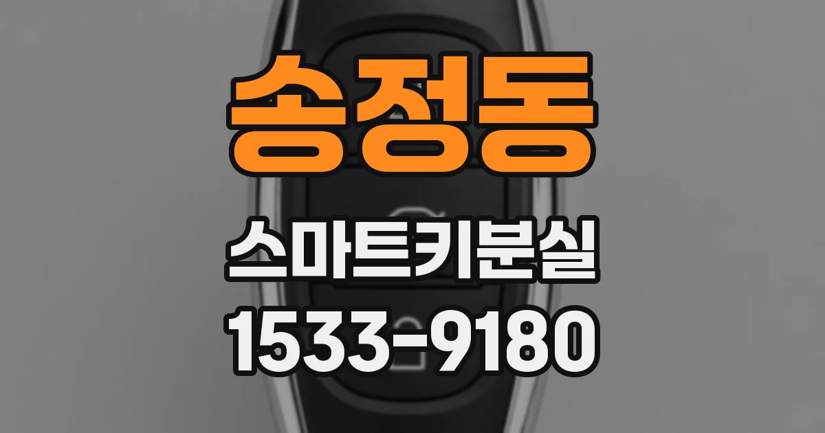 송정동 스마트키분실