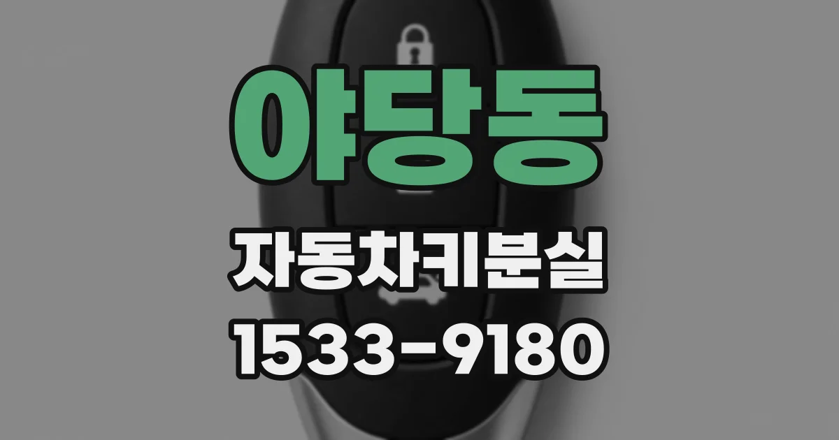 야당동 자동차키분실