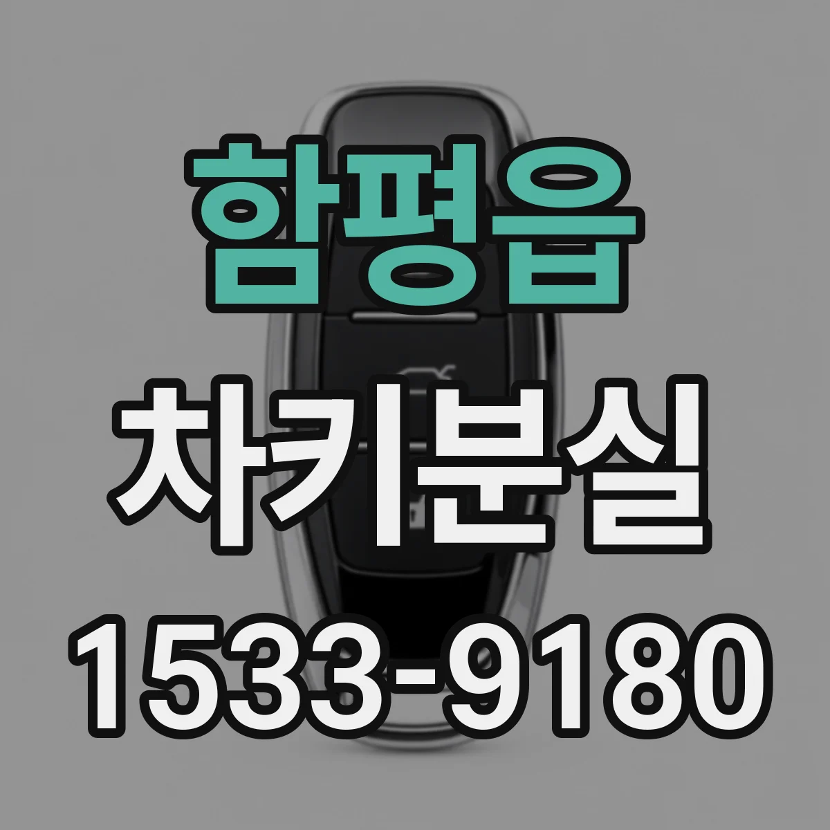 함평읍 차키분실