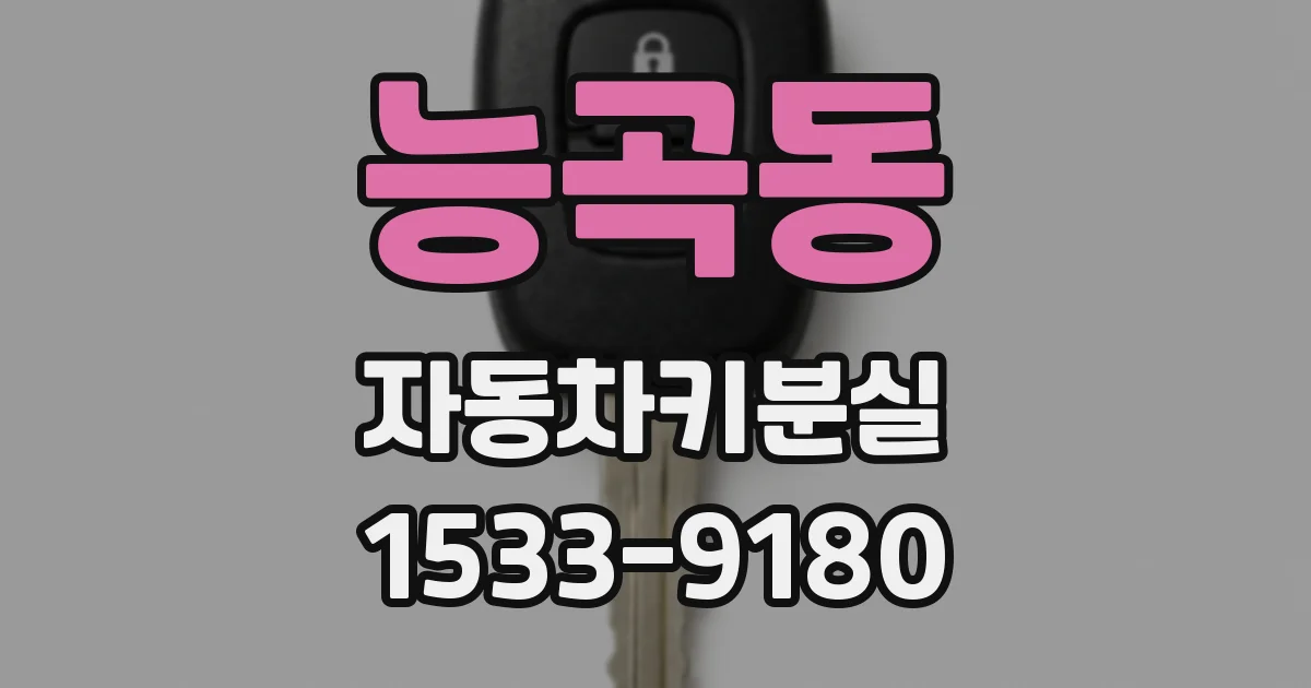 능곡동 자동차키분실
