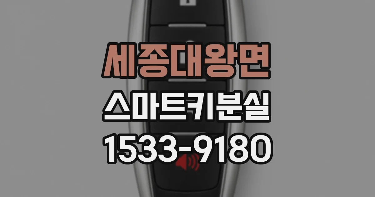 세종대왕면 스마트키분실