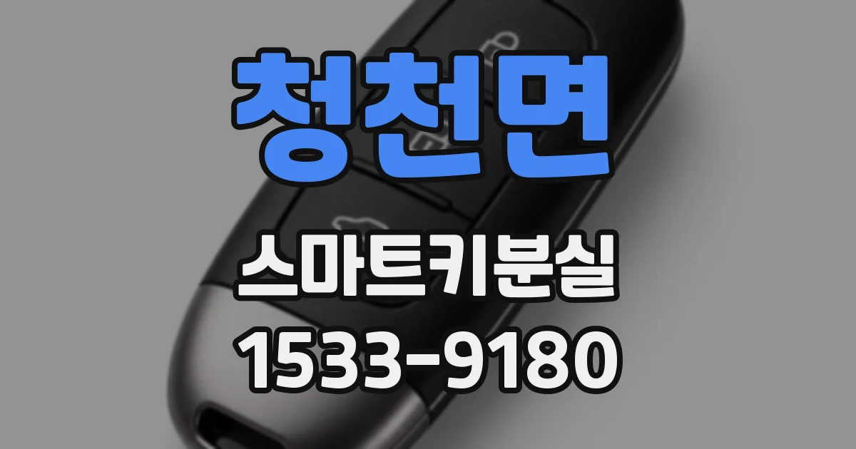 청천면 스마트키분실