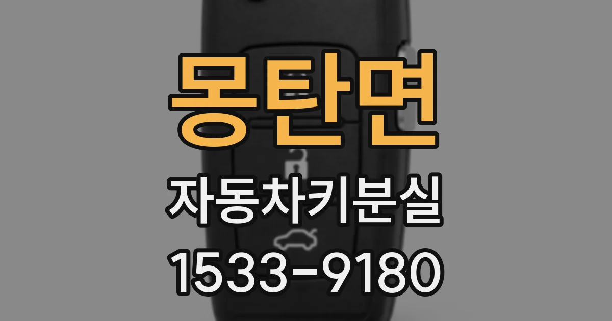 몽탄면 자동차키분실