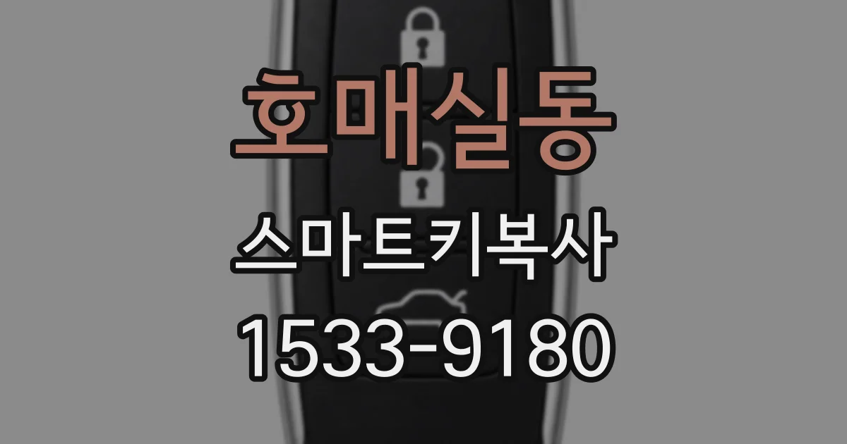 호매실동 스마트키복사
