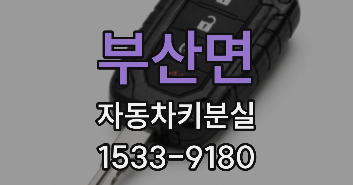 부산면 자동차키분실