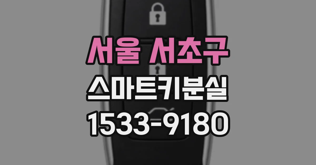 서울 서초구 스마트키분실