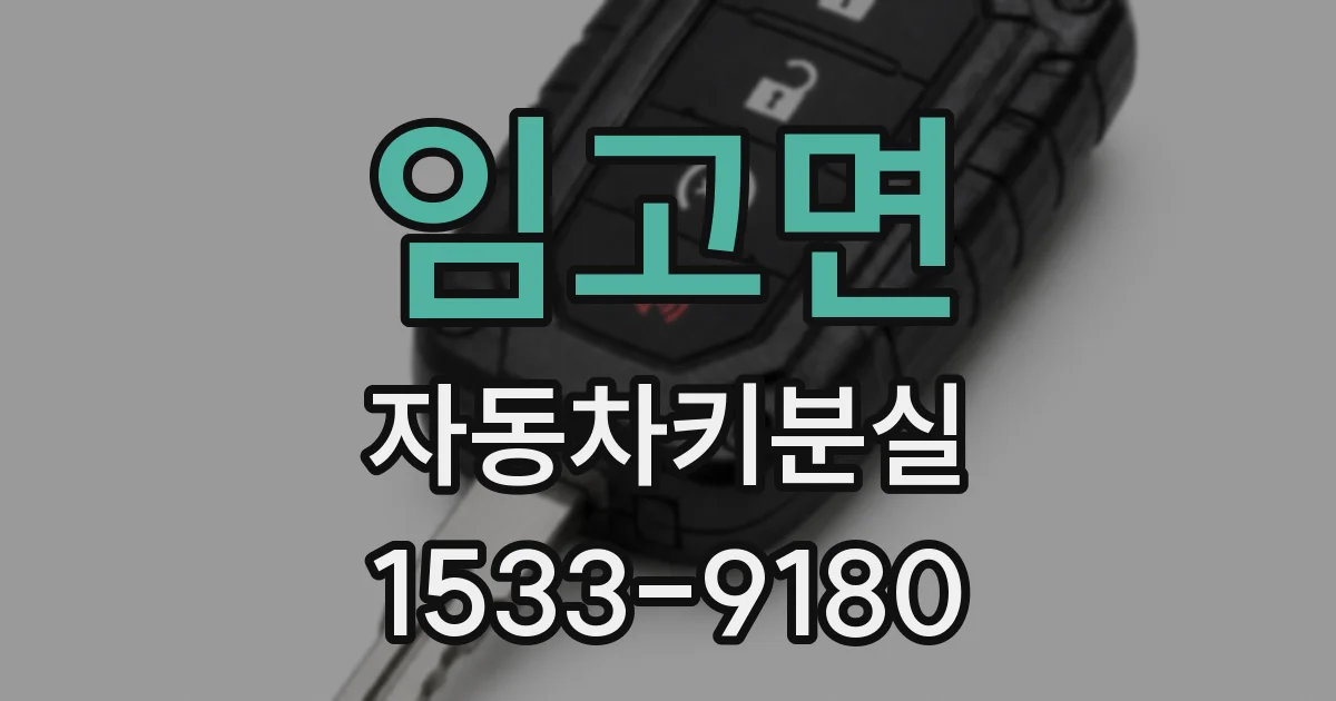 임고면 자동차키분실