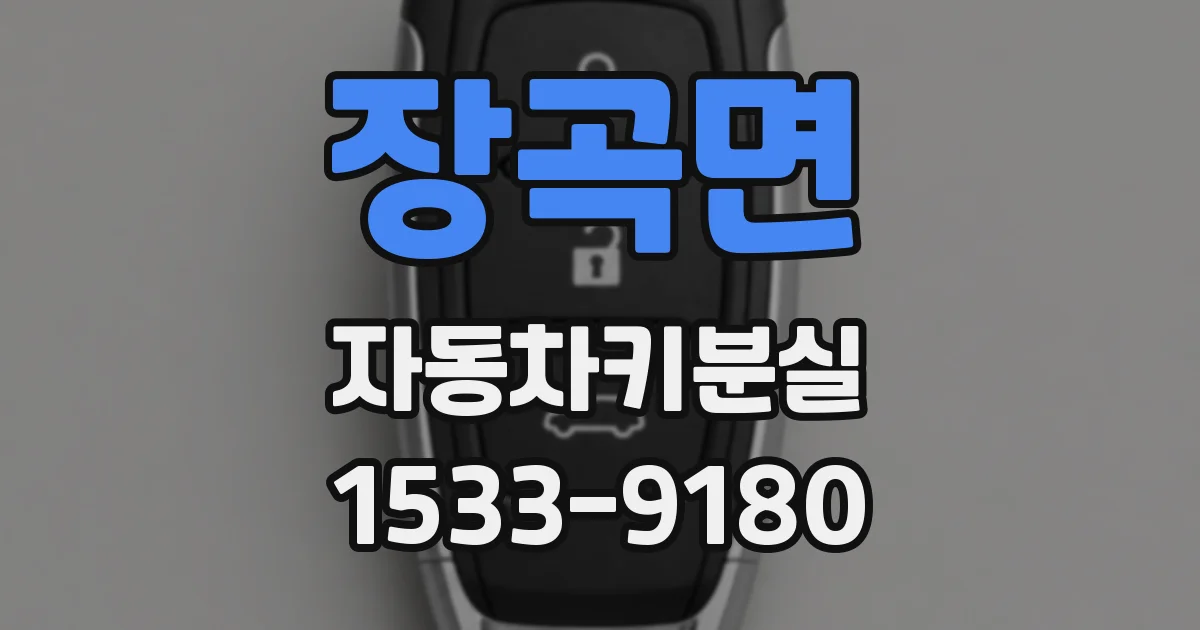장곡면 자동차키분실