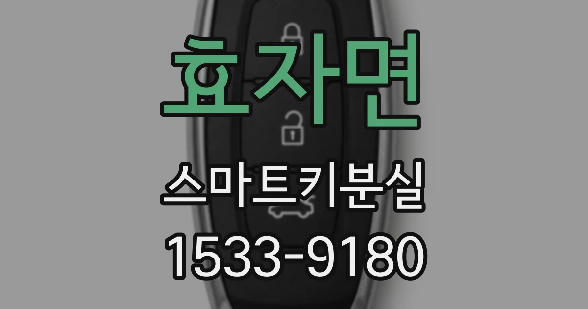 효자면 스마트키분실
