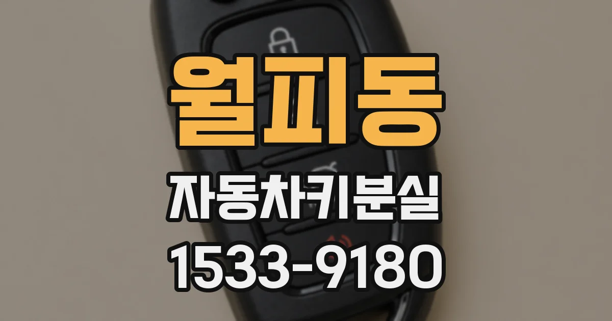 월피동 자동차키분실