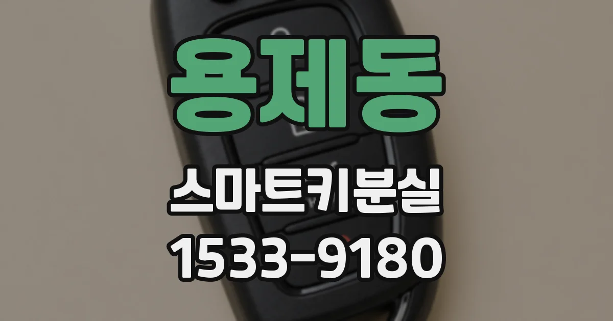 용제동 스마트키분실