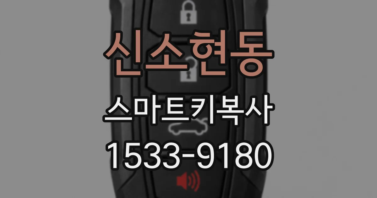 신소현동 스마트키복사
