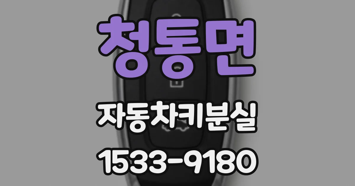 청통면 자동차키분실