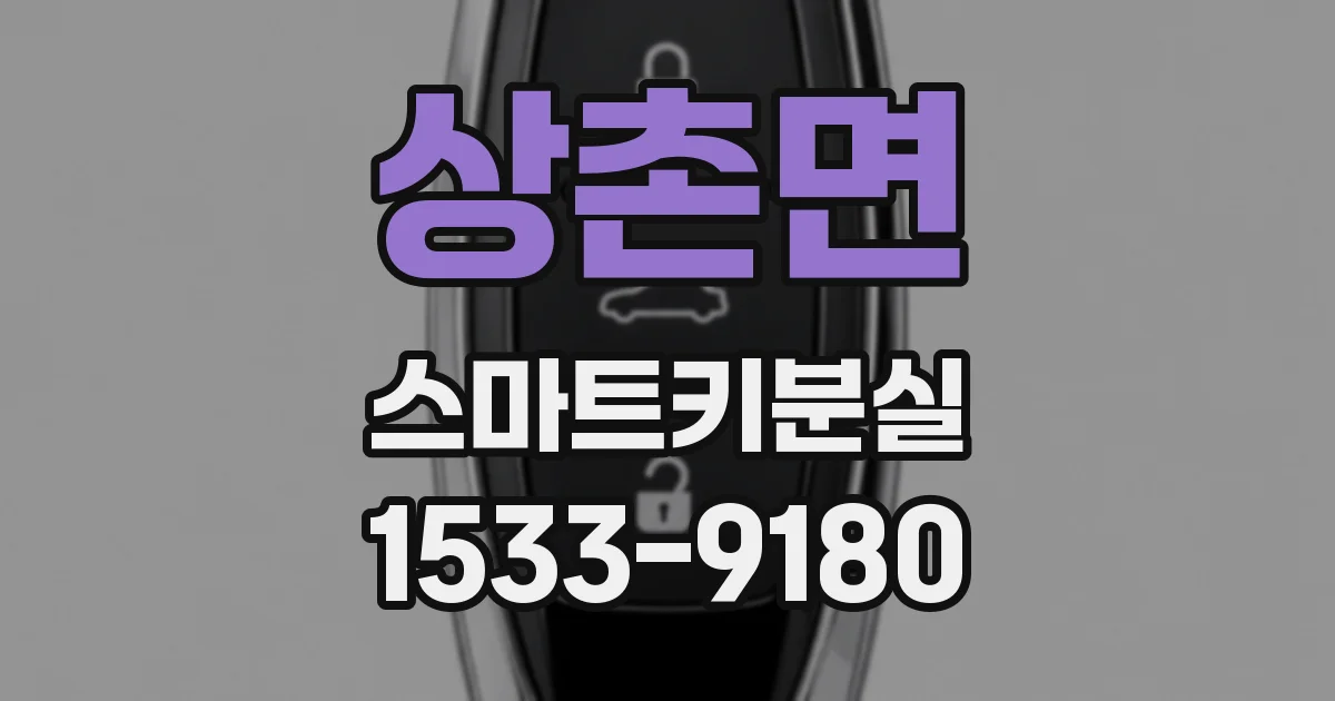 상촌면 스마트키분실