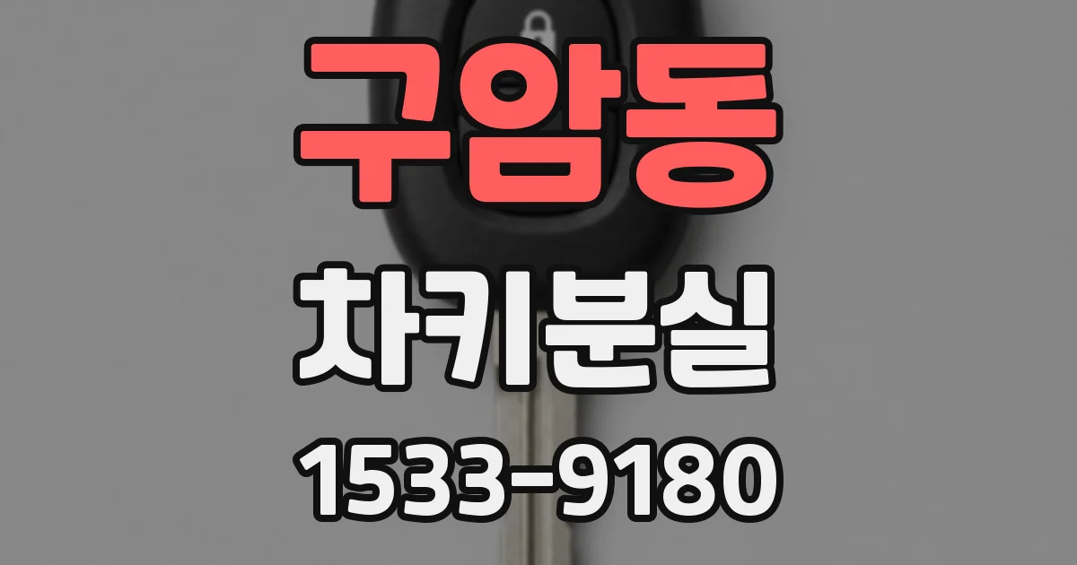 구암동 차키분실