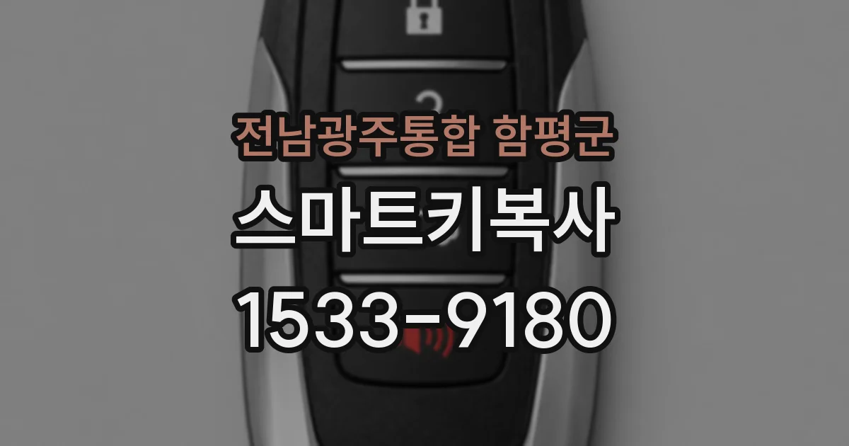 전남광주통합 함평군 스마트키복사