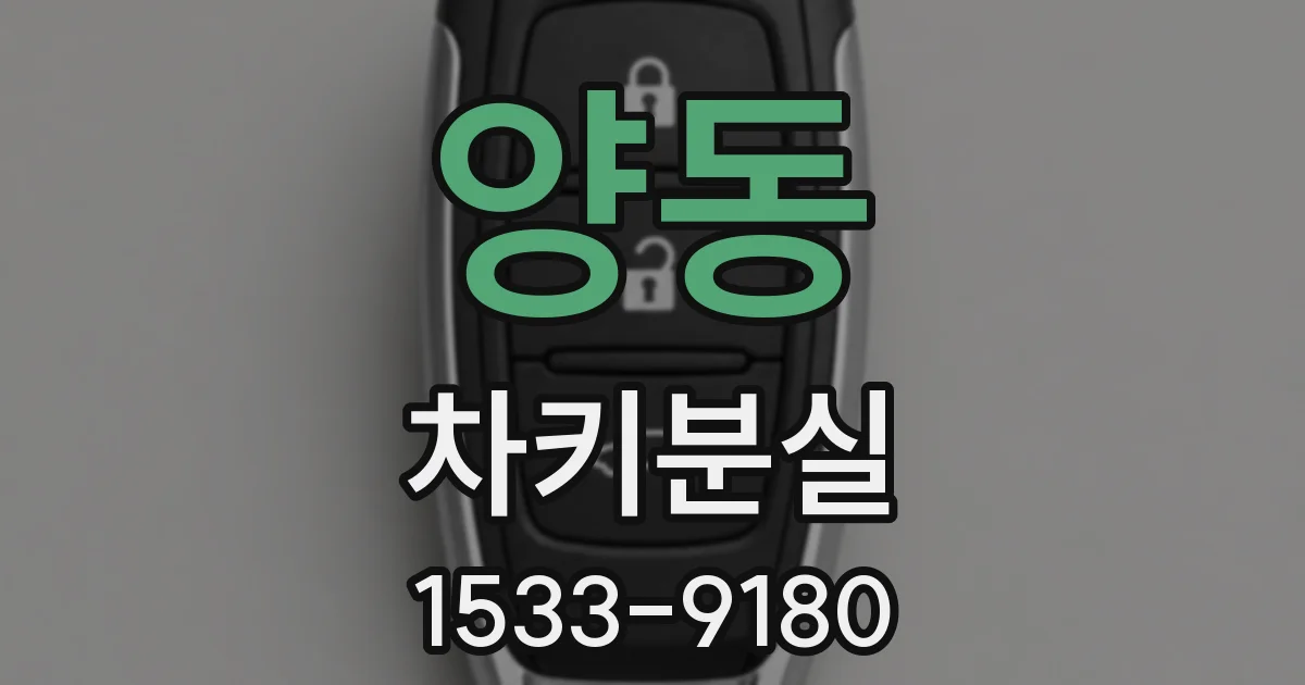 양동 차키분실