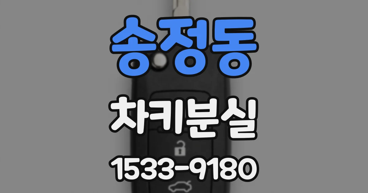 송정동 차키분실