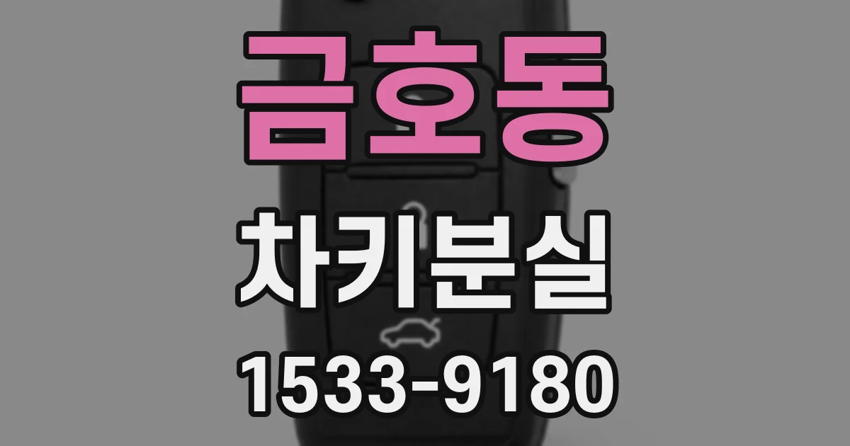 금호동 차키분실