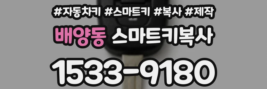 배양동 스마트키복사