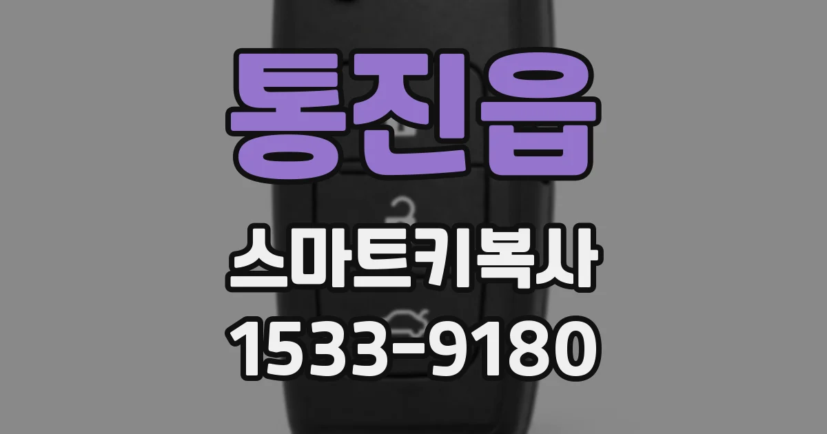 통진읍 스마트키복사