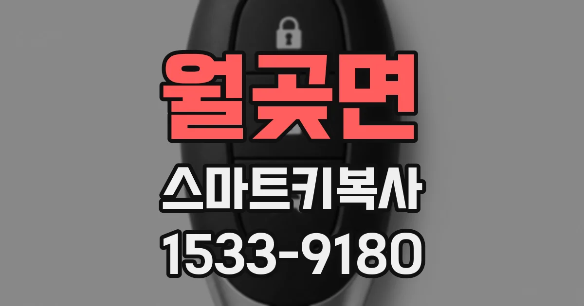월곶면 스마트키복사