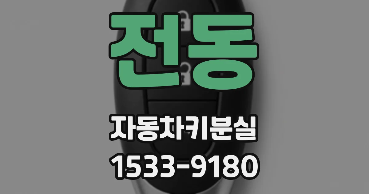 전동 자동차키분실
