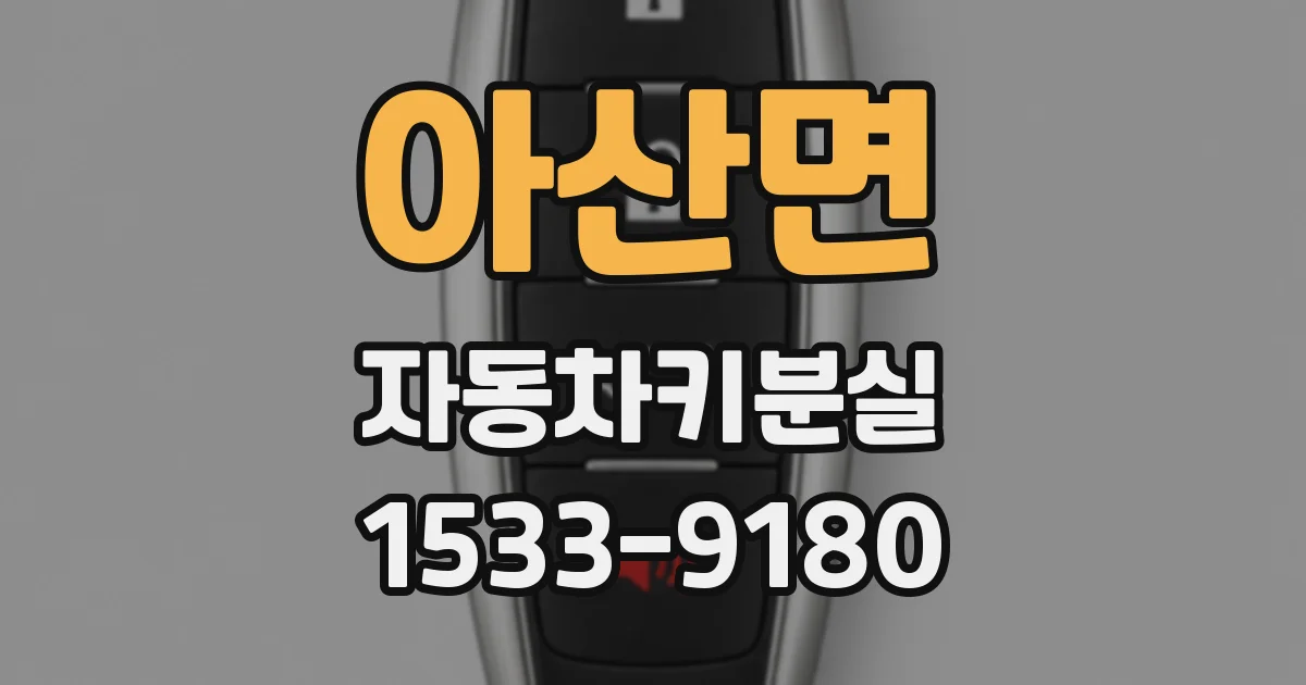 아산면 자동차키분실