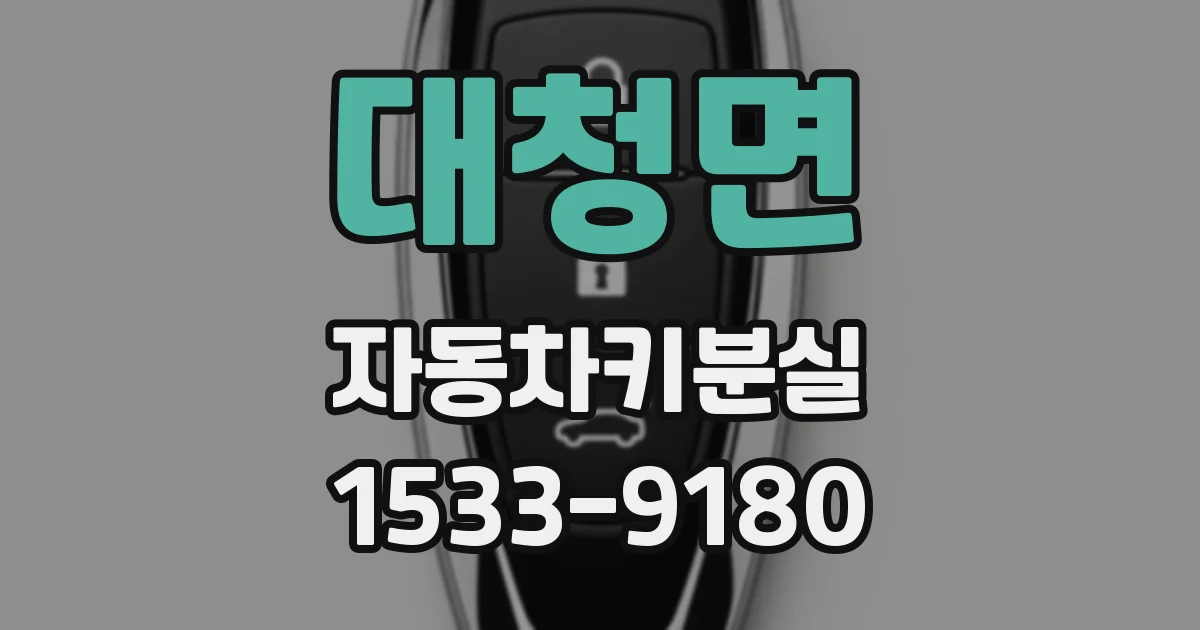 대청면 자동차키분실