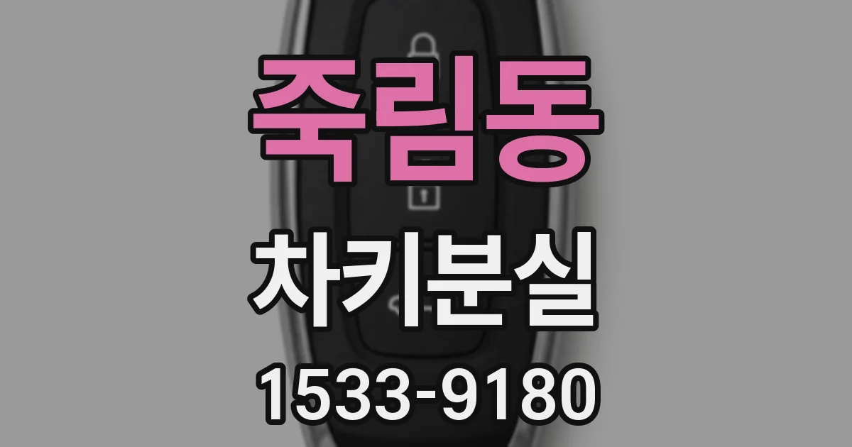죽림동 차키분실