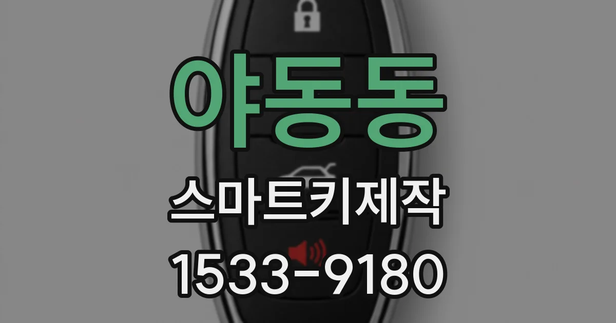 야동동 스마트키제작