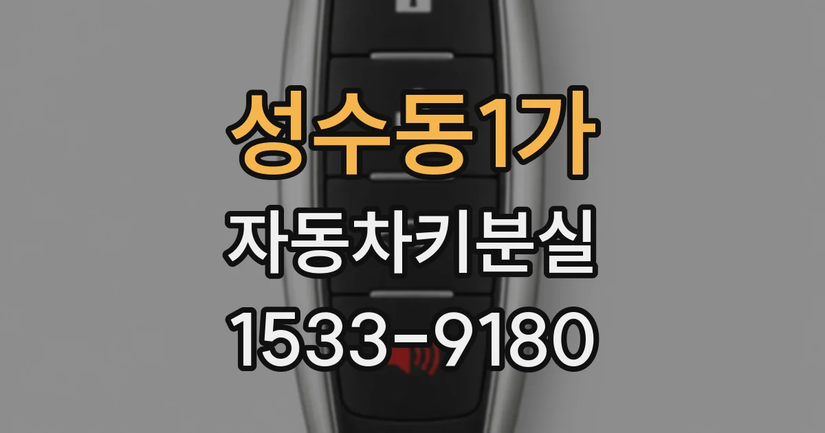 성수동1가 자동차키분실