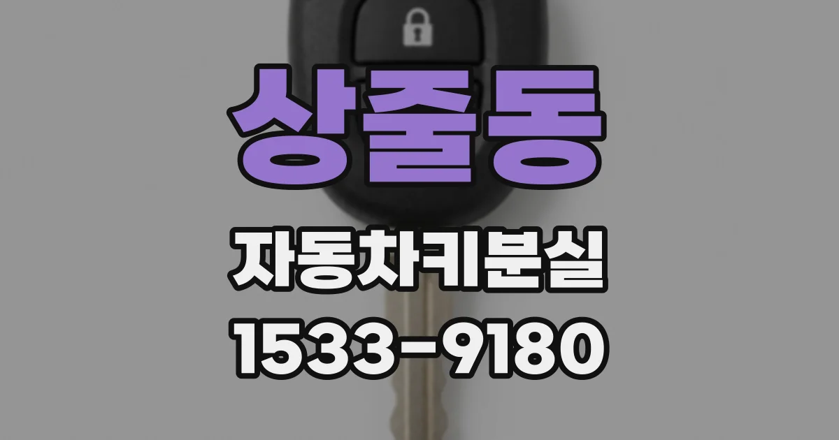 상줄동 자동차키분실
