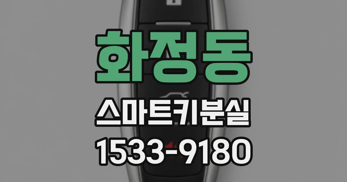 화정동 스마트키분실