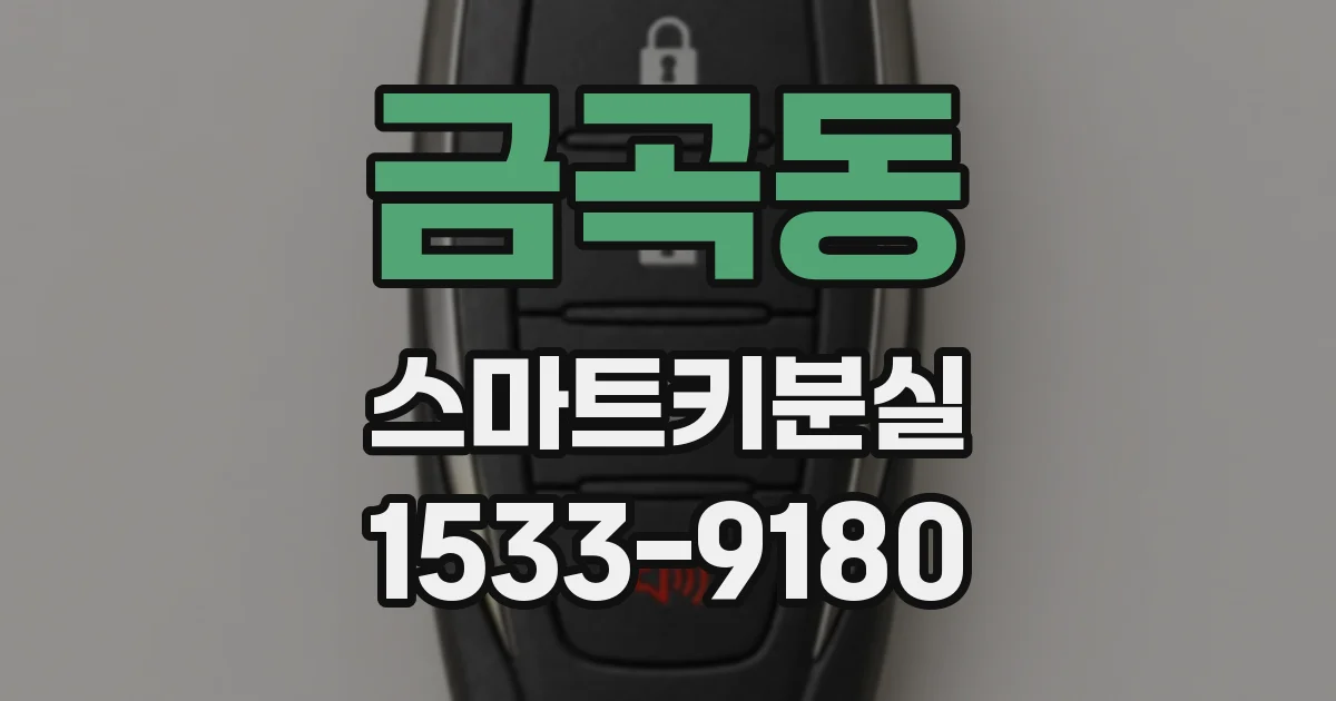 금곡동 스마트키분실