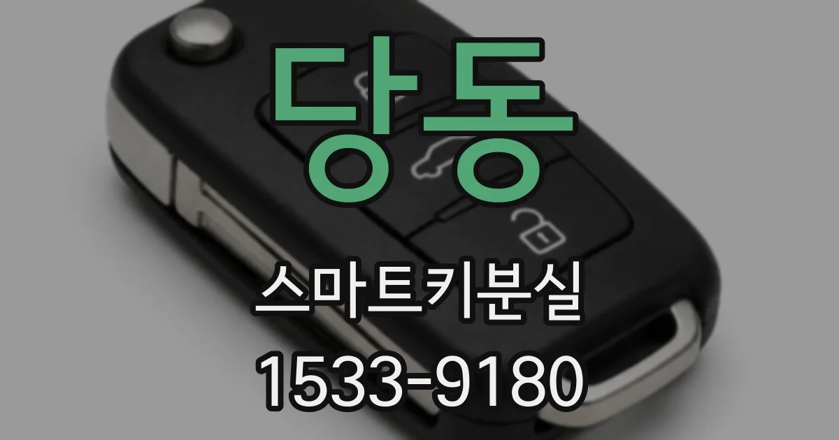 당동 스마트키분실