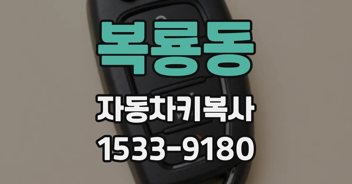 복룡동 자동차키복사