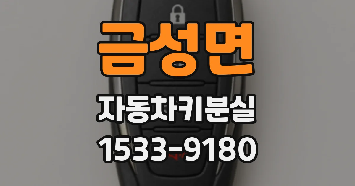 금성면 자동차키분실