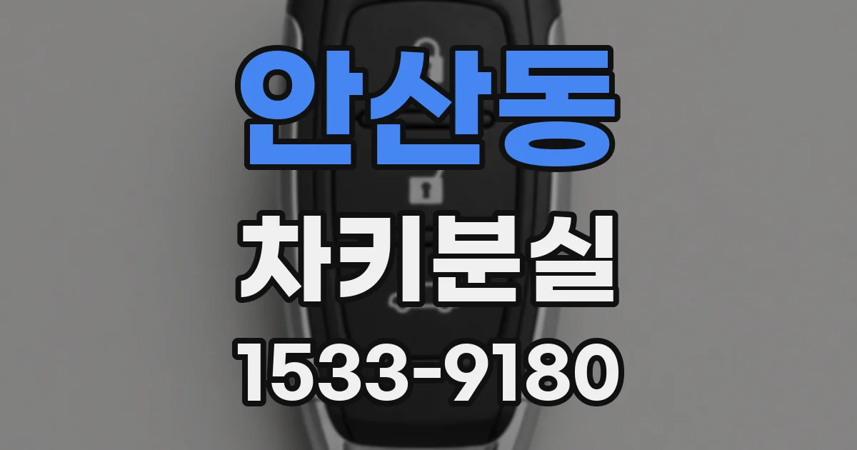 안산동 차키분실