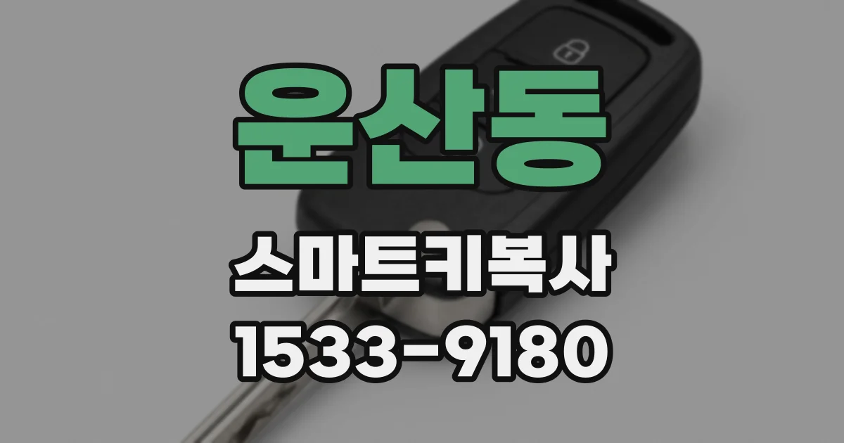 운산동 스마트키복사