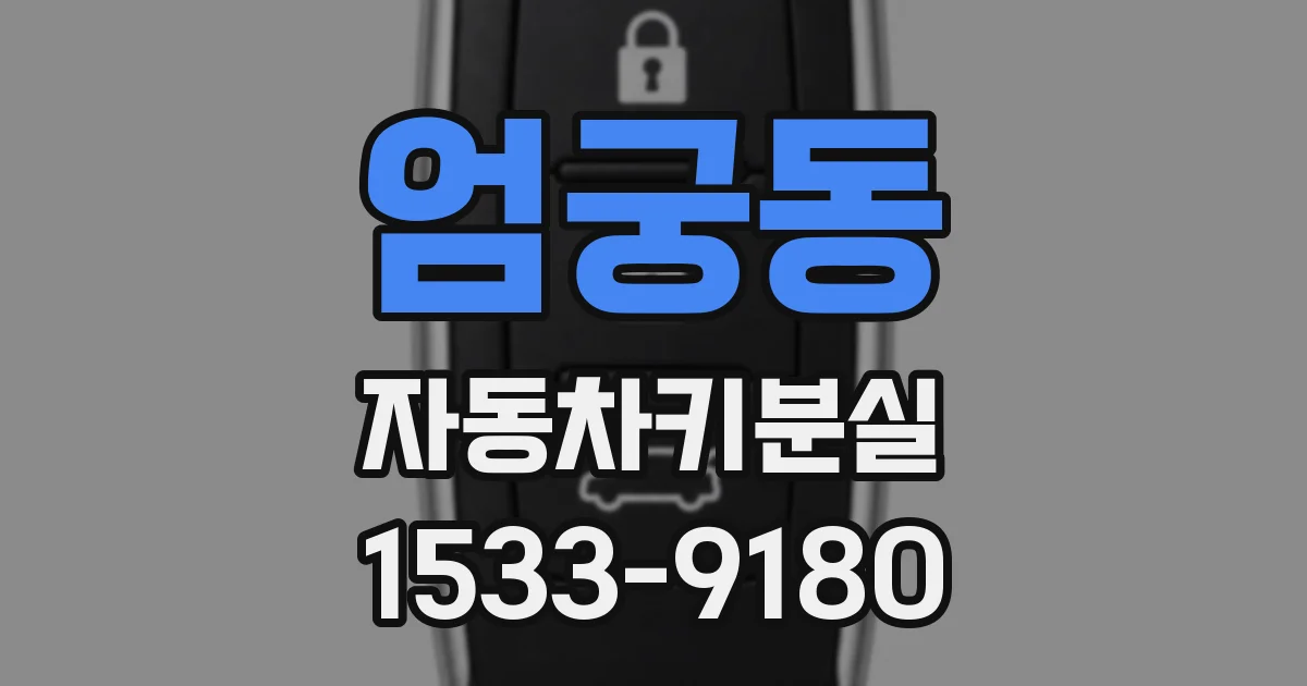 엄궁동 자동차키분실