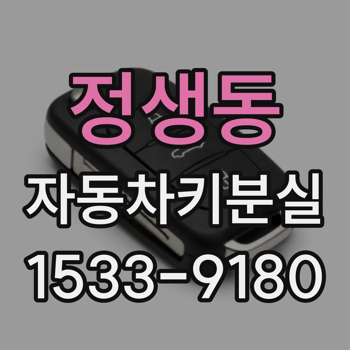 정생동 자동차키분실