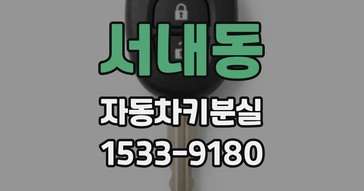 서내동 자동차키분실