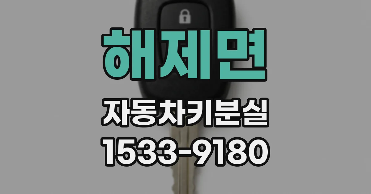 해제면 자동차키분실