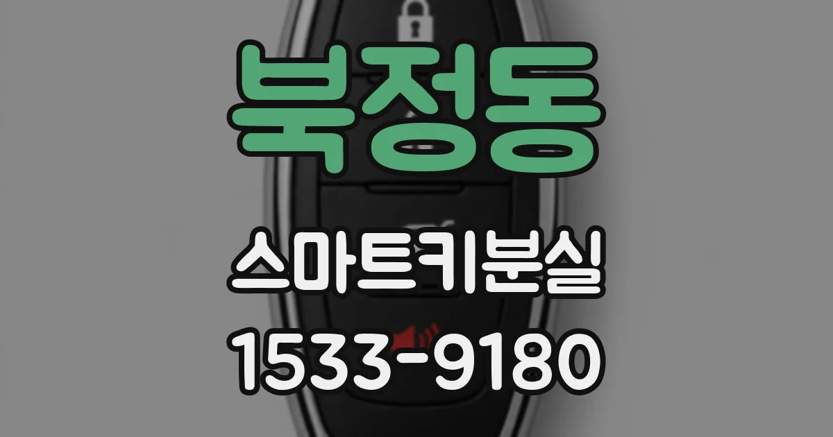 북정동 스마트키분실
