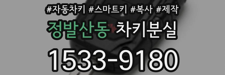 정발산동 차키분실