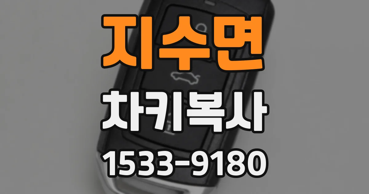 지수면 차키복사