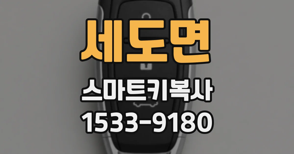 세도면 스마트키복사